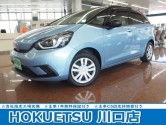46050081